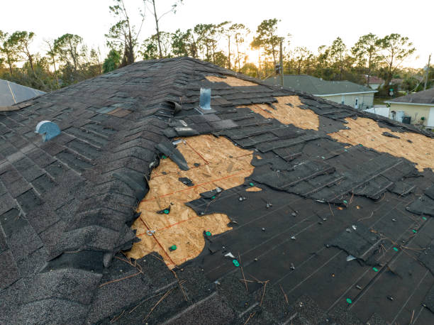 Best Roof Ventilation Installation  in Highwood, IL